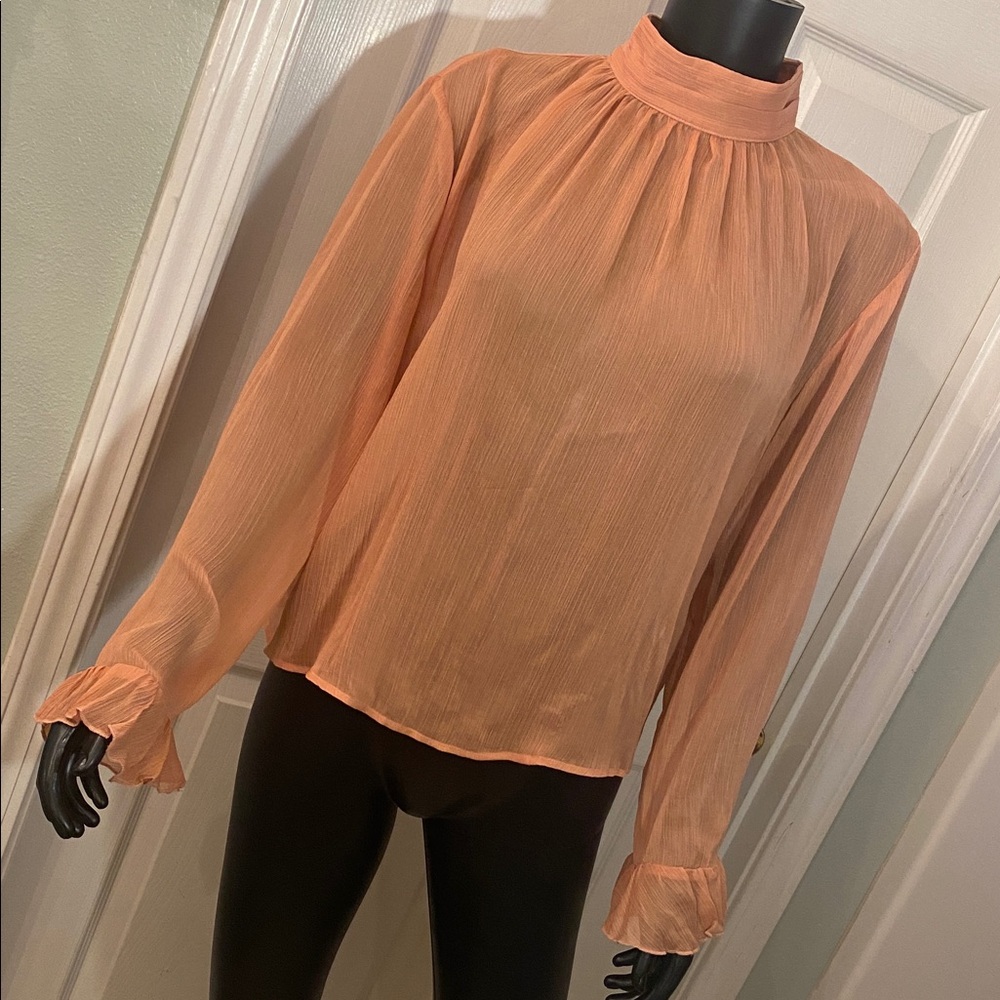 Anthropologie Sheer Terracotta Blouse Top NWTs